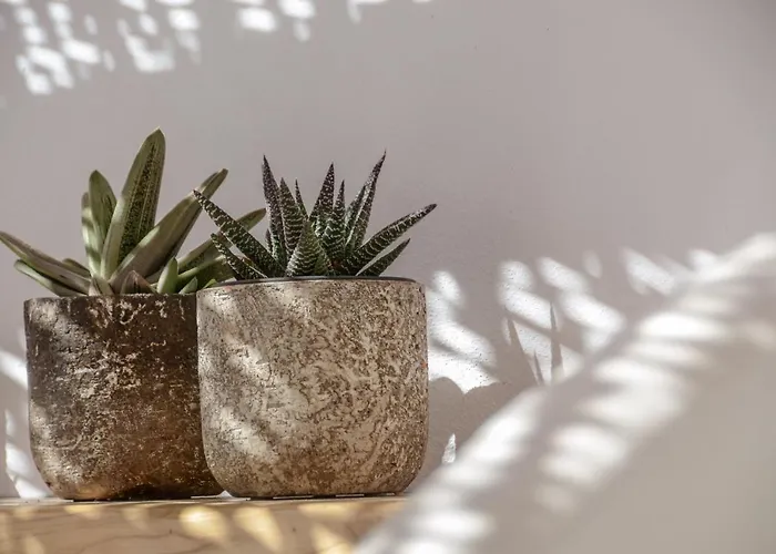 Aegean White * Naxos City