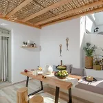 Aegean White *