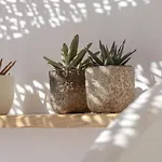 Aegean White *
