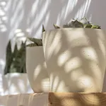 Lägenhet Aegean White